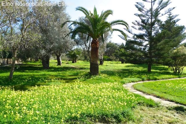 ::::: Verkauft ::::: IMMOBILIEN MALLORCA