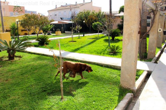 ::::: IMMOBILIEN MALLORCA ::::: VERKAUFT :::::
