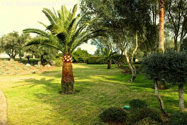 ::::: VERKAUFT ::::: IMMOBILIEN MALLORCA