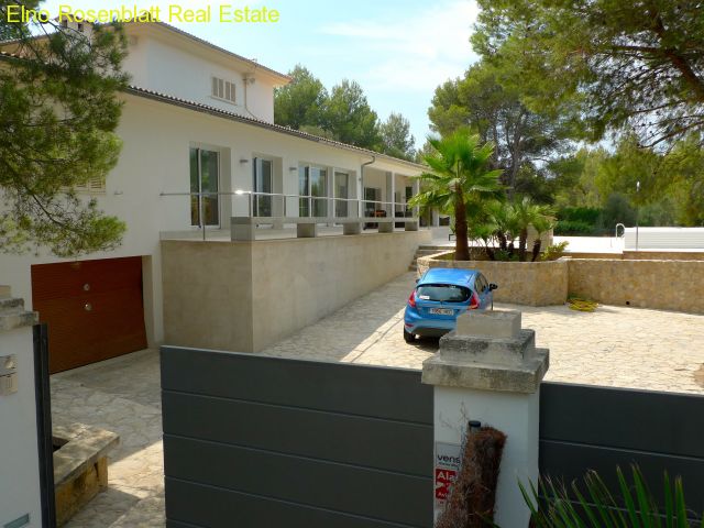 +++ VORHER ........  NACHHER +++