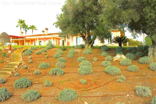 Meer-Blick und Palma-Blick in Ruhelage