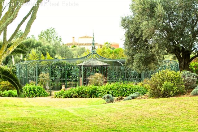 Meer-Blick und Palma-Blick in Ruhelage